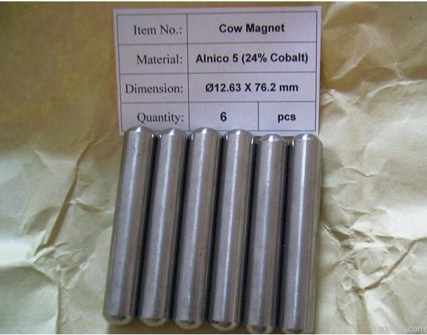 Alnico magnetic material
