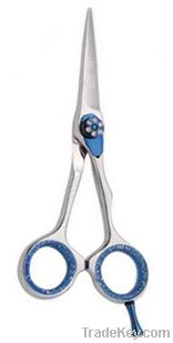Professional Hair Scissors