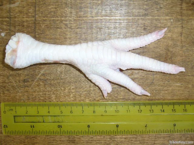 Frozen chicken feet