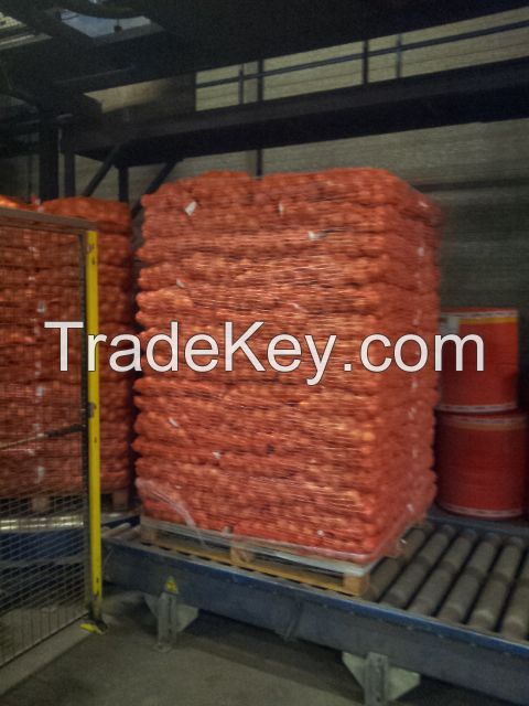 Onions, Oignons, Cebolla Holland Export Import Victoria Mondial