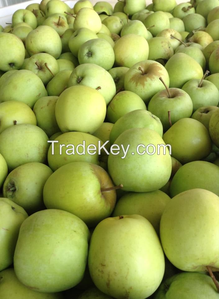 Apples, Pommes, Manzanas Holland Export import Victoria Mondial (Golden Delicious, Red Jonaprince, Jonagold)