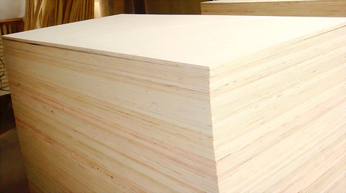 veneer plywood