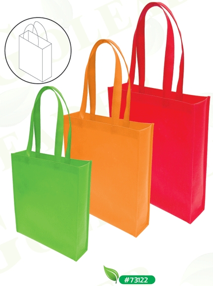 non woven shopping bag