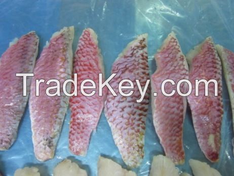 Frozen Tuna, Mahi, Marlin, Swordfish, Parrotfish, Grouper, Emperor, Red Snapper Blue Shark