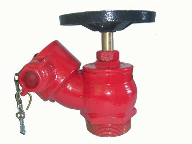 Srew type fire landing valve