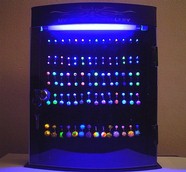 Piercing Display with 70 piercing included