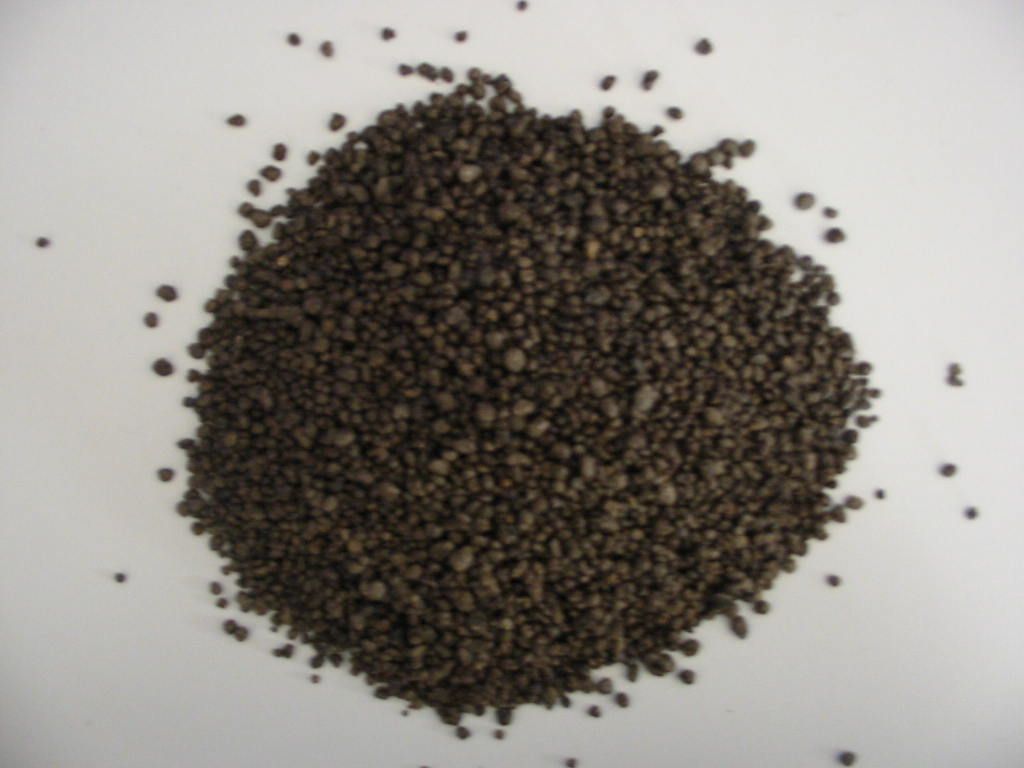 DAP Diammonium Phosphate