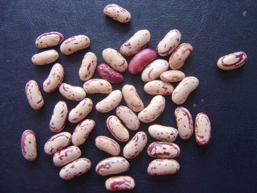 light speckled kidney bean