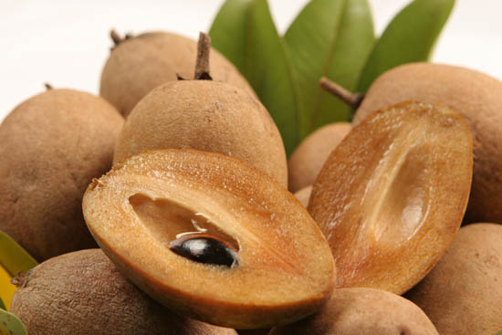 sapodilla