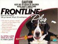 Frontline Plus for Cats & Dogs