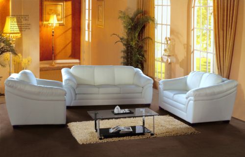 Top Leather Sofa / Home Furniture -T601