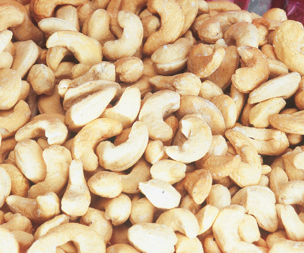 Roasted Salted Cashew Nuts | Cashew Nut Suppliers | Cashew Nut Exporters | Cashew Nut Manufacturers | Cheap Cashew Nut | Wholesale Cashew Nut | Discounted Cashew Nut | Bulk Cashew Nut | Cashew Nut Buyer 