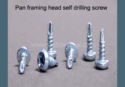 Pan Framing  Head Self-Drillig Screw