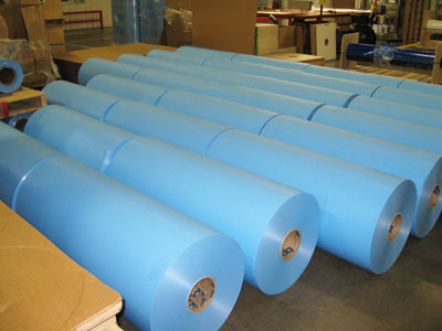 LDPE Film