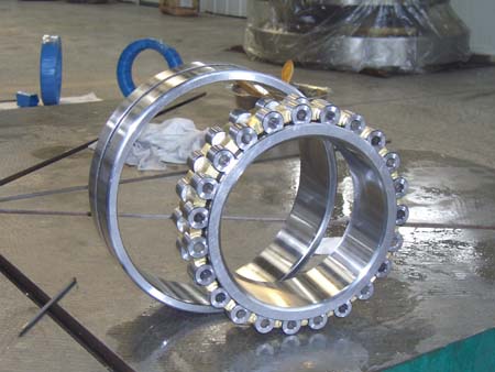 Cylindrical Roller Bearings