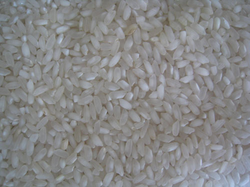 Round rice Q001