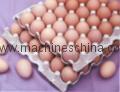 Egg Tray Machinery