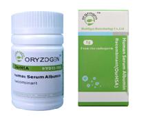 OsrHSA - recombinant Human Serum Albumin(10g)