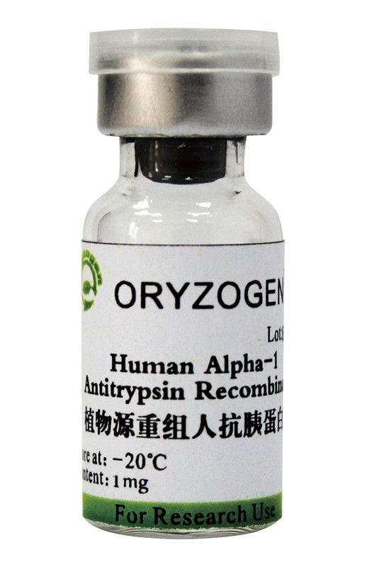 OsrAAT - recombinant Alpha-1 Antitrypsin