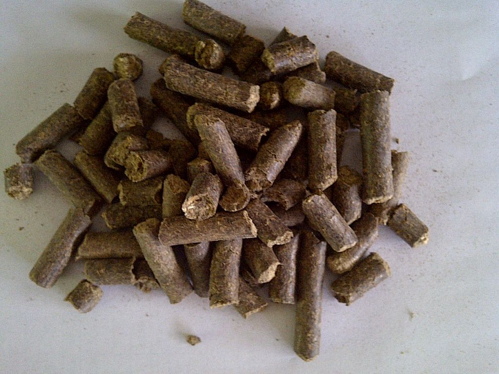 Biocoal Pellet