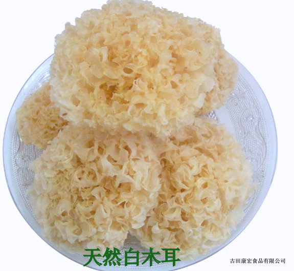 White Fungus