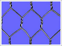 Hexagonal Wire Netting