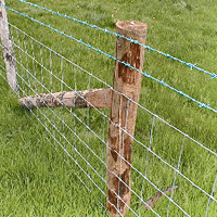Field fence