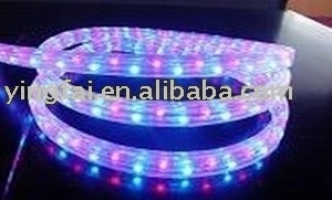 Led rainbow light