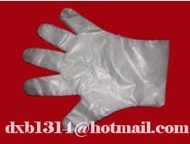 pe/cpe disposable glove
