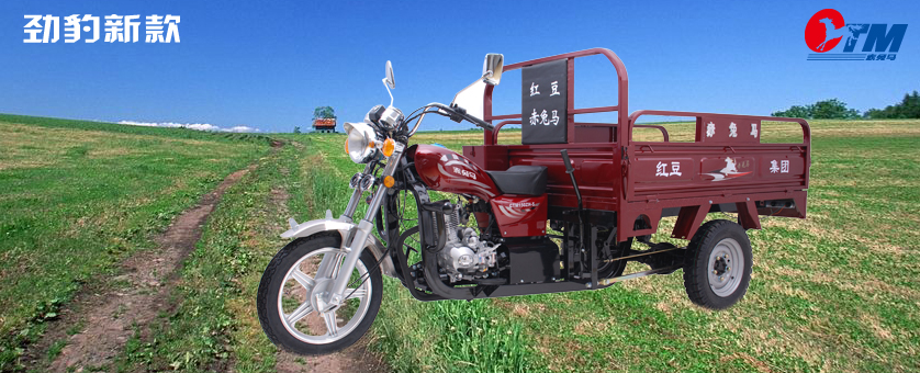 tricycle, trike , 3 wheel motorcycle, three Wheeler, auto rickshaw