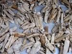 Dried Cassava