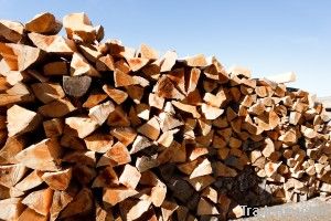 Firewood