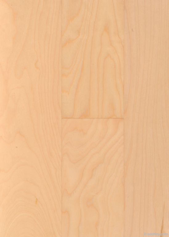 Maple Engineered wood flooring