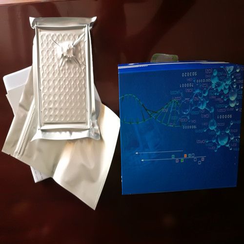 Vitamin D Elisa Kits