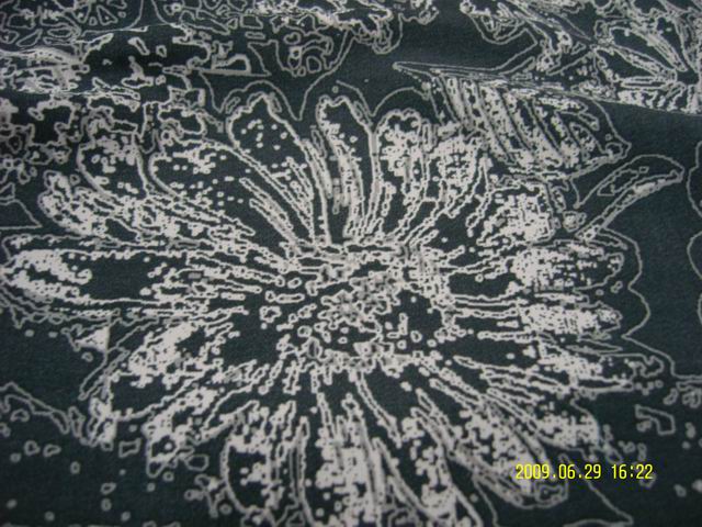 Printed Chiffon fabric