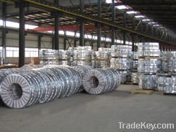 Steel Coil