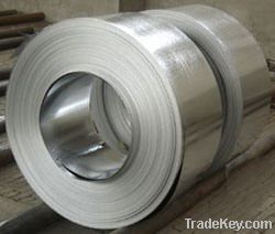 Steel Coil