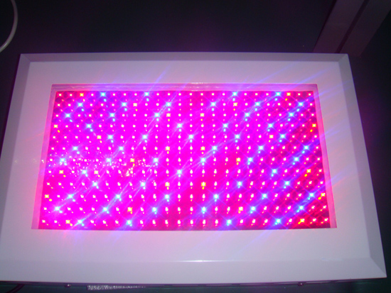 300W Led grow light (other watts available)