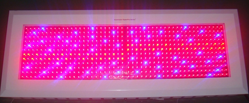 600W Led grow light (other watts available)