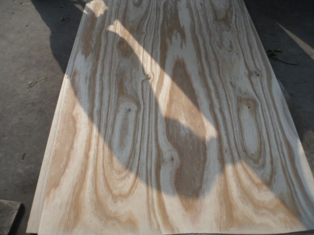 Paulownia Wood Veneer