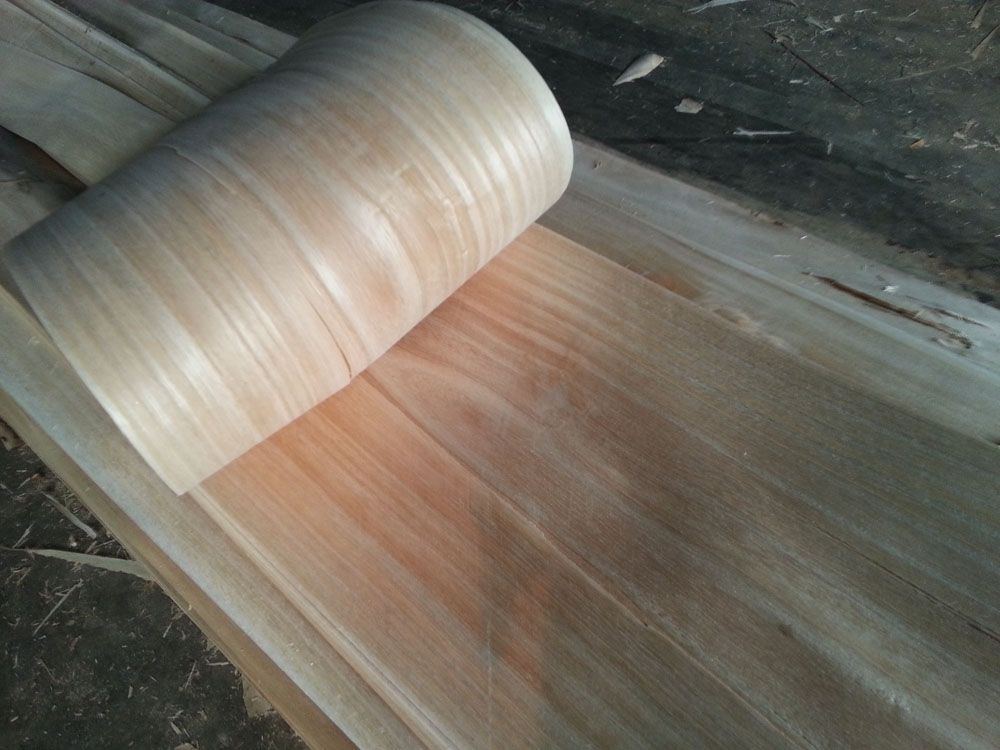 Paulownia Wood Veneer