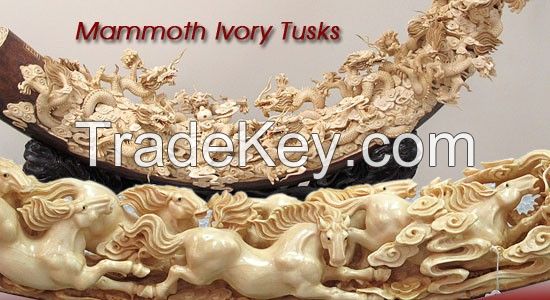 Mammoth Ivory Carved Sculpture, Tusk Carving and Figurine Collectible