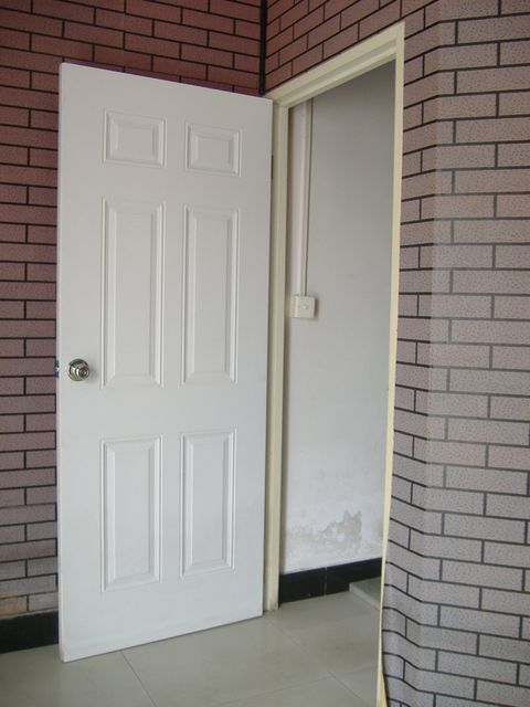 Powder coating panel steel door, galvanized steel door
