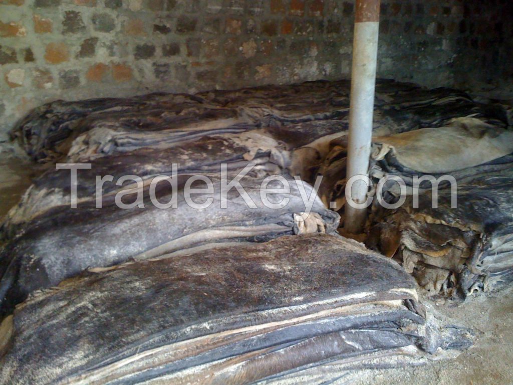 Wet salted cow hides