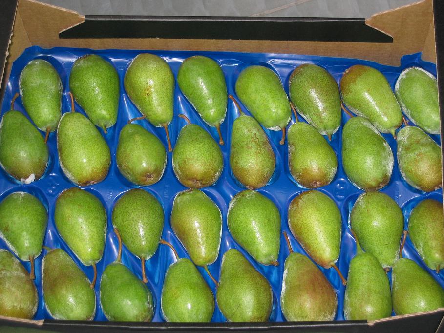 Pears