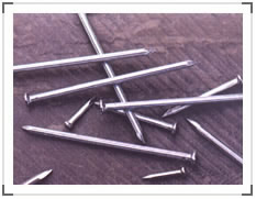 Iron& Steel Nail