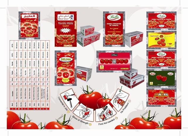 Chilly Willy Tomato Paste in 70gm Pouch