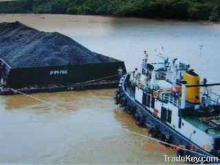 Steam Coal