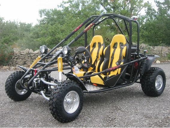 Go kart , buggy