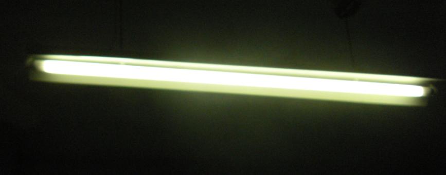 Dip T10 LED tube